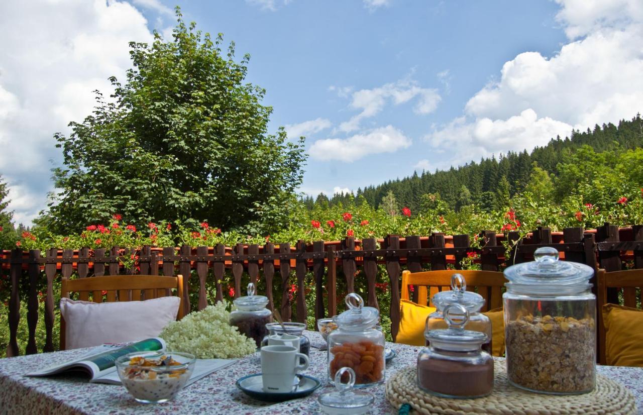 Hotel Gorski Czarna Gora Stronie Slaskie Exterior photo